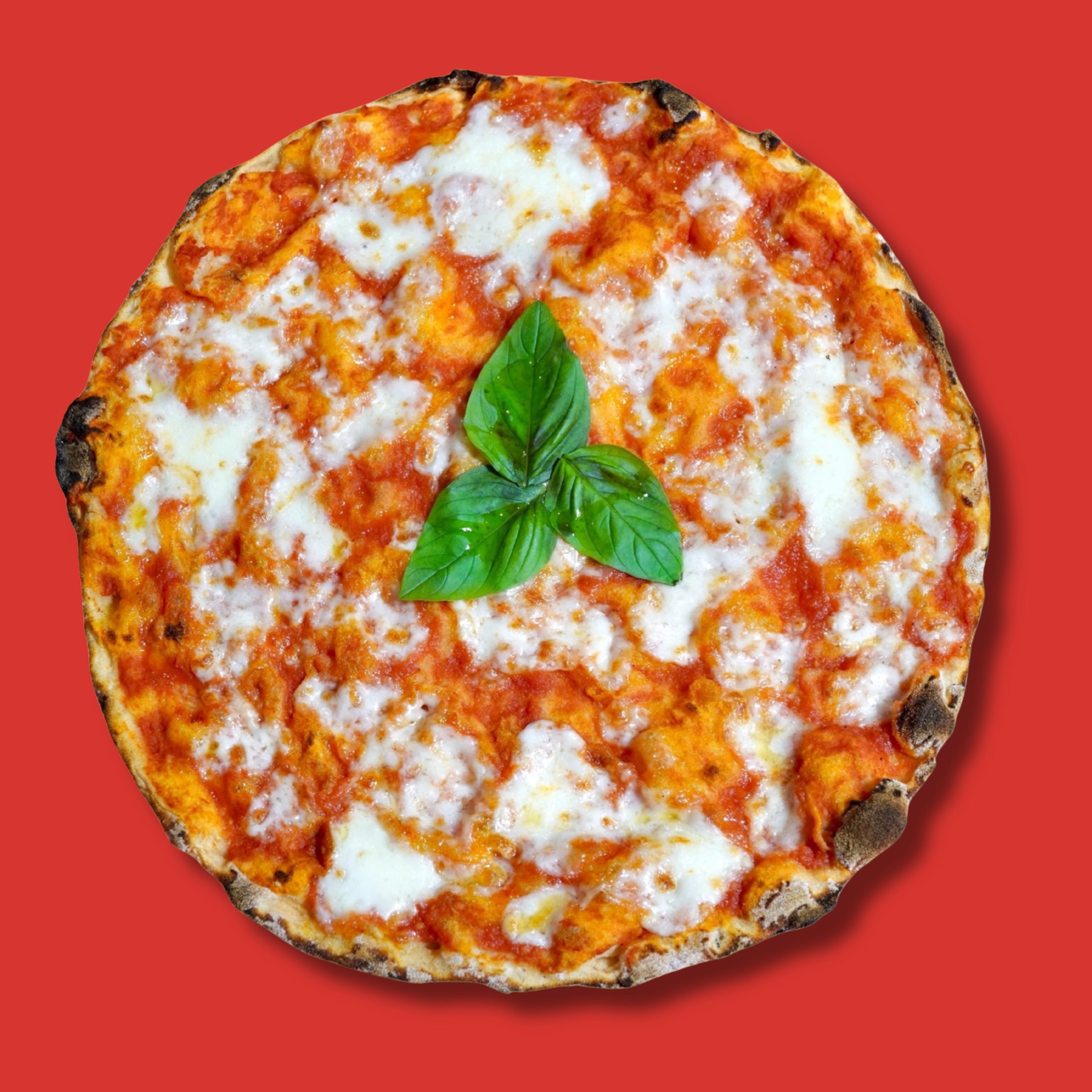 margherita